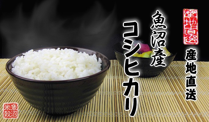コシヒカリ 令和7年産 米 10kg 5kg×2 魚沼産コシヒカリ 令和7年産 白米