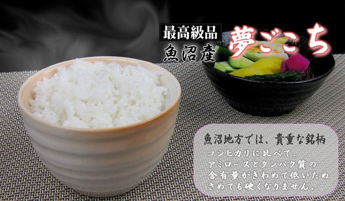 夢ごこち 米 10kg 5kg×2 魚沼産夢ごこち 令和7年産 白米 送料無料