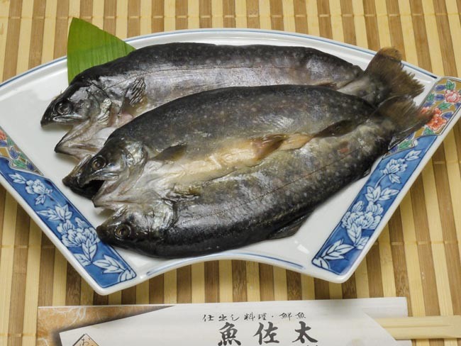 イワナ一夜干し 2枚入 当店で丁寧に作りました いわな 岩魚干物 :iwanahi:伊勢の国の美味いもの 魚佐太 - 通販 - Yahoo!ショッピング