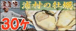 殻付き牡蠣30ケ