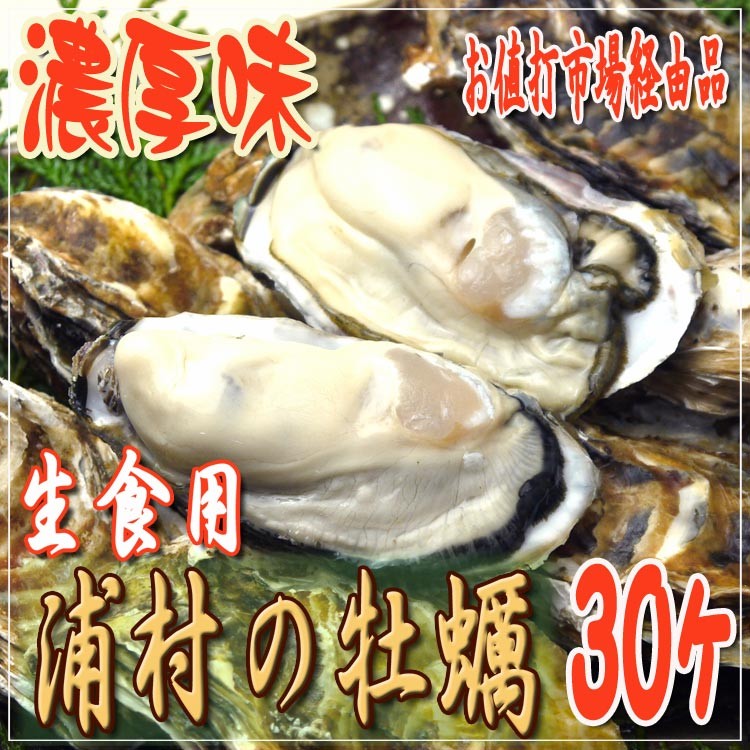 浦村の牡蠣