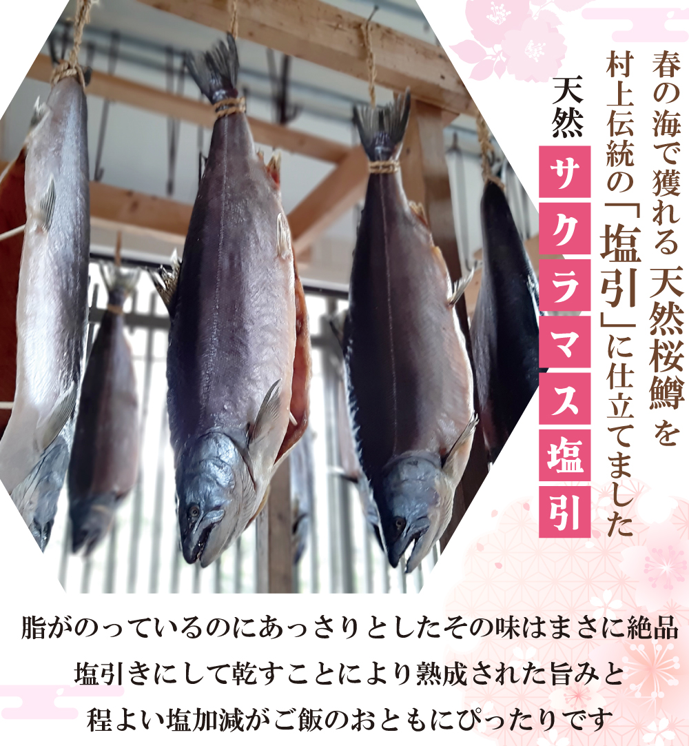 サクラマス 塩引切身 1切 桜鱒 本鱒 マス ます 切り身 魚 おかず 焼き魚 : f17-h10 : 越後村上うおや - 通販 -  Yahoo!ショッピング