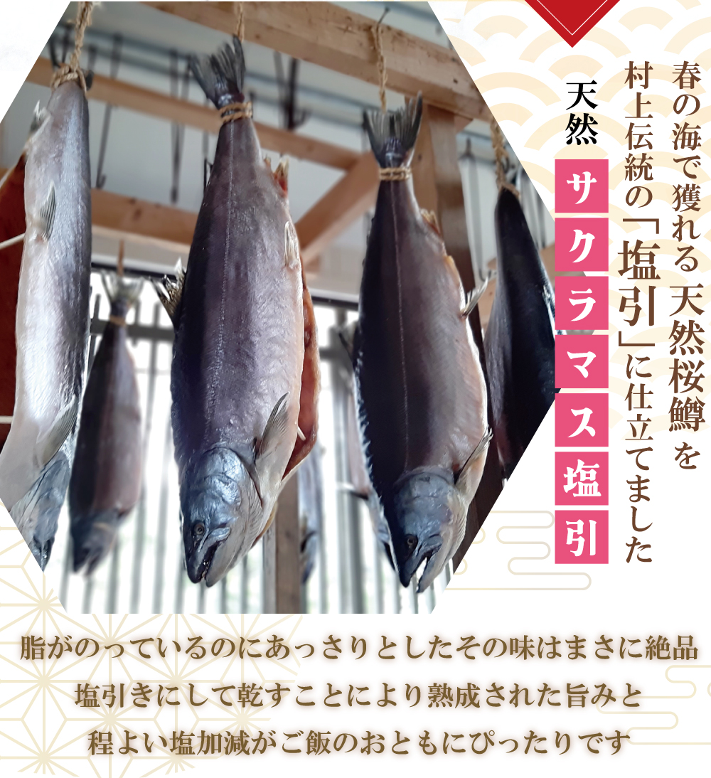 サクラマス塩引