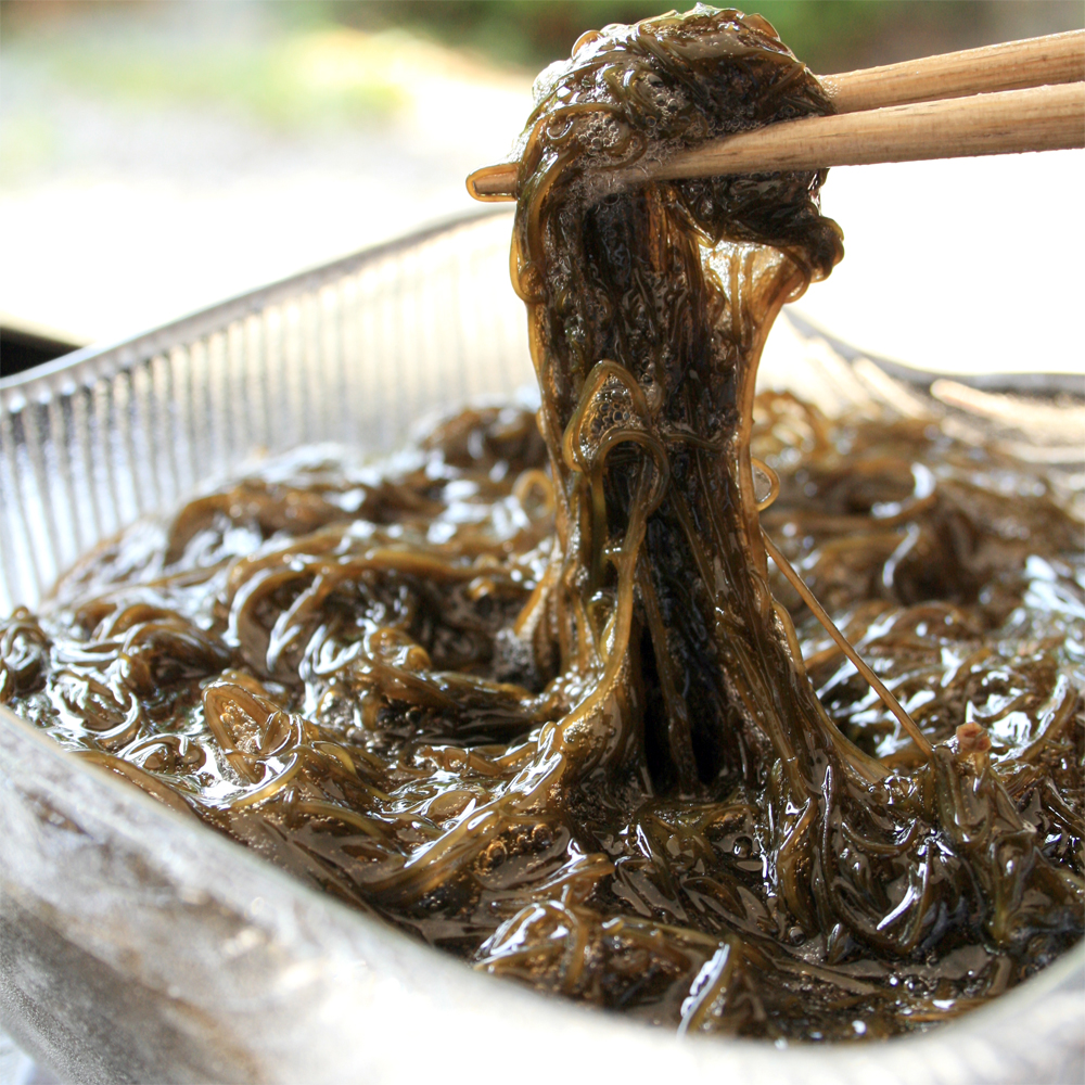 日本海産 天然岩もずく (塩もずく) 200g : 越後村上うおや - 通販