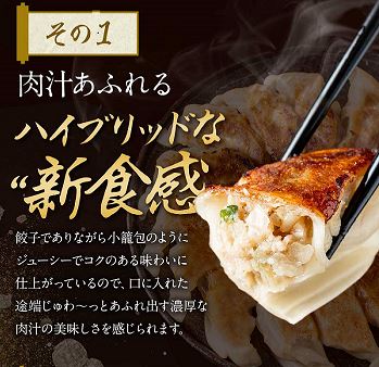 黒毛和牛の肉大盛餃子+鹿児島黒豚の肉盛餃子（各27g30個）餃子 ギョウザ 大容量 お取り寄せ 食品 冷凍 グルメ 国産牛 ギフト贈答 贈り物 点心 惣菜 おつまみ |  | 10