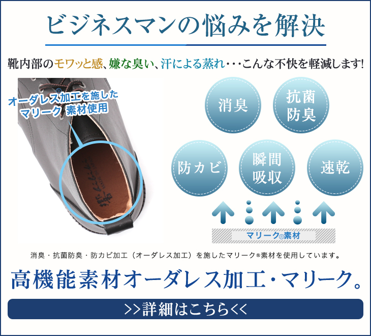 6cmアップ No.1573