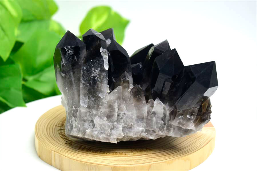 アーカンソー州産 黒水晶 スモーキークォーツ (約392g) クラスター