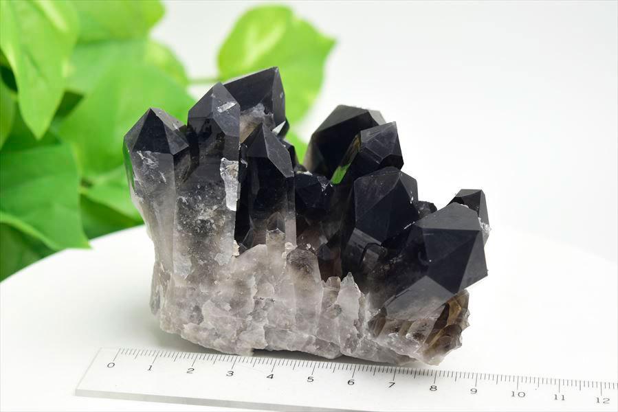 アーカンソー州産 黒水晶 スモーキークォーツ (約392g) クラスター