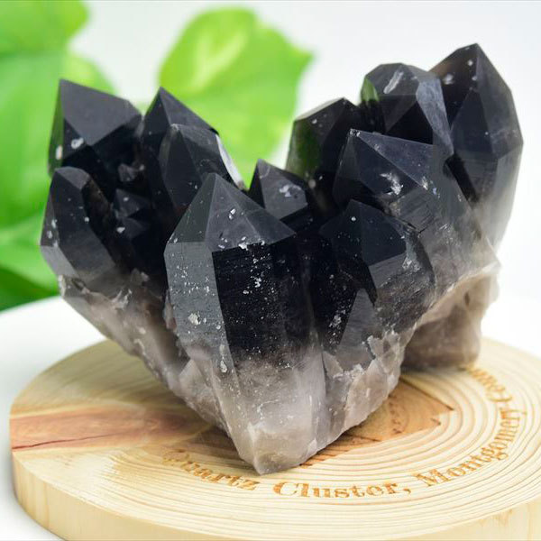 アーカンソー州産 黒水晶 スモーキークォーツ (約392g) クラスター