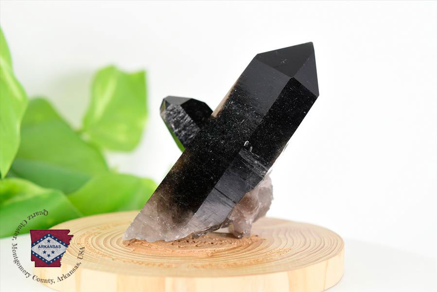 アーカンソー州産 黒水晶 スモーキークォーツ (約162.5g) クラスター