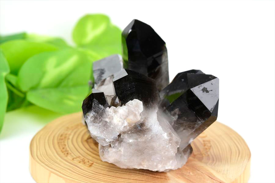 アーカンソー州産 黒水晶 スモーキークォーツ (約301.5g) クラスター