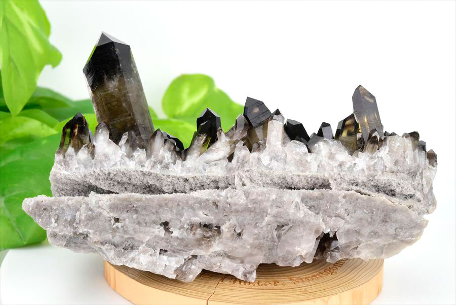 アーカンソー州産 黒水晶 スモーキークォーツ (約699.5g) クラスター