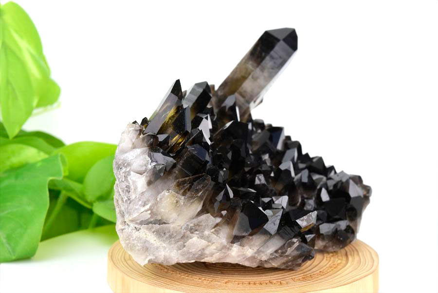 アーカンソー州産 黒水晶 スモーキークォーツ (約699.5g) クラスター