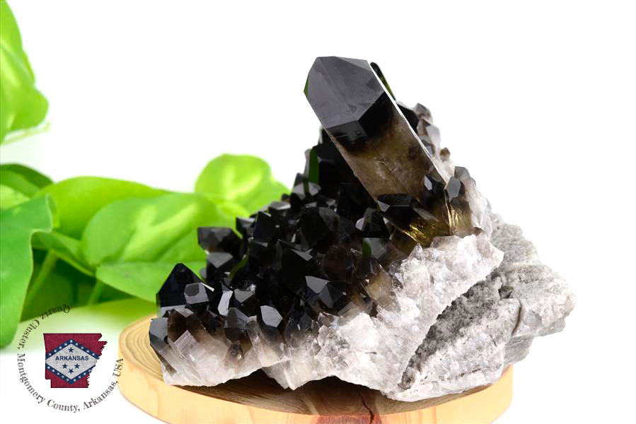 アーカンソー州産 黒水晶 スモーキークォーツ (約699.5g) クラスター