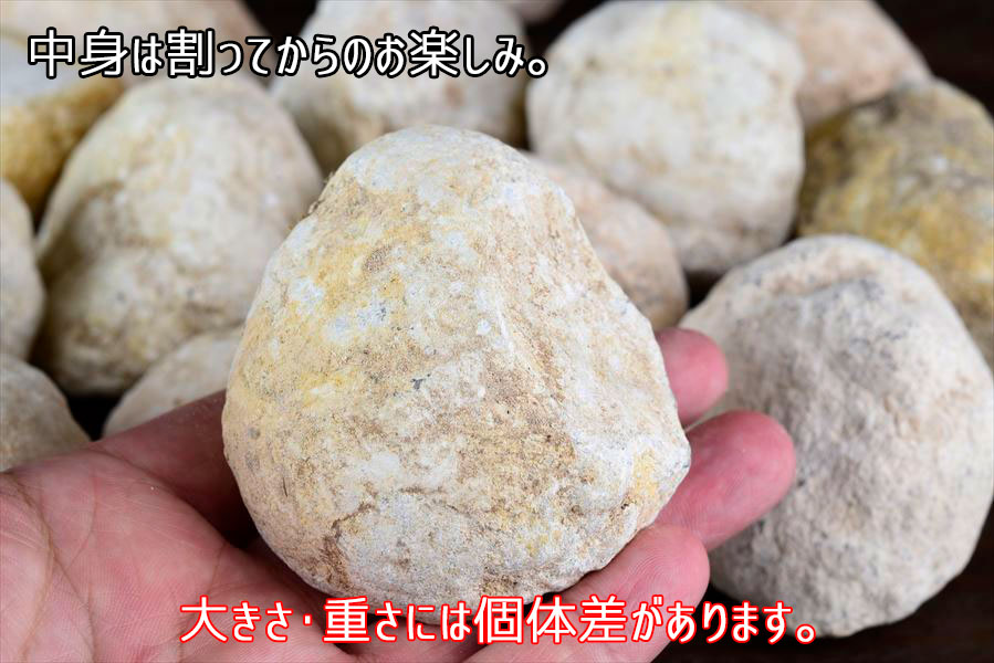 ジオード 晶洞 割れていないジオード メキシコ産 単品販売 ポテト