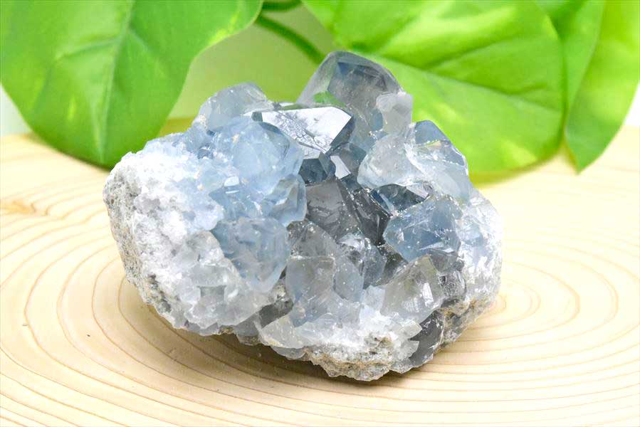 セレスタイト 天青石 クラスター (約297.9g) 原石 マダガスカル産 群晶