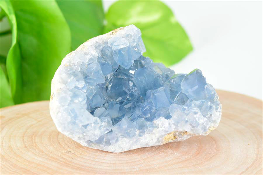 セレスタイト 天青石 クラスター (約242.3g) 原石 マダガスカル産 群晶