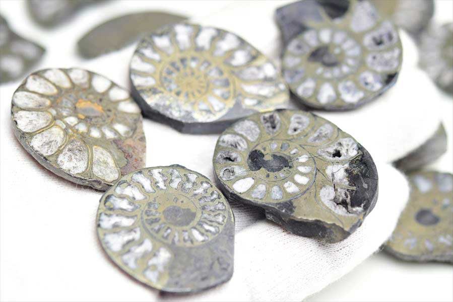 アンモナイト 化石 スライス 銅化 黄鉄鉱化 (約10g~約15g) 種類お任せ
