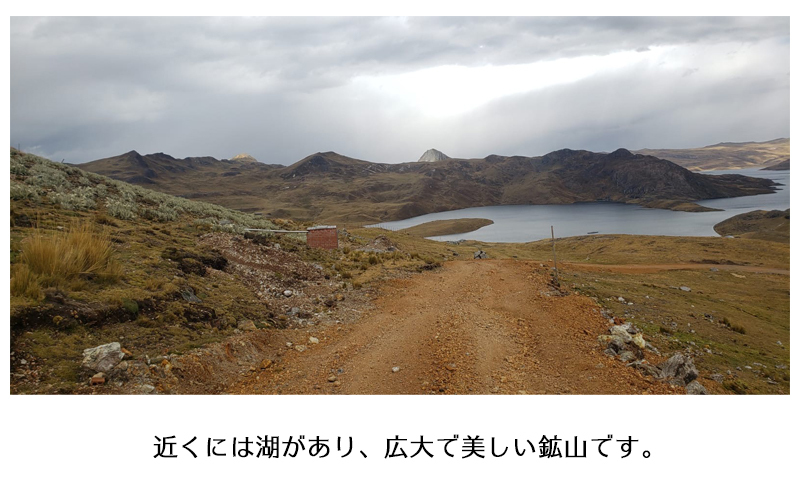 パイライト 黄鉄鉱 クラスター 原石 ペルー産 天然石 パワーストーン