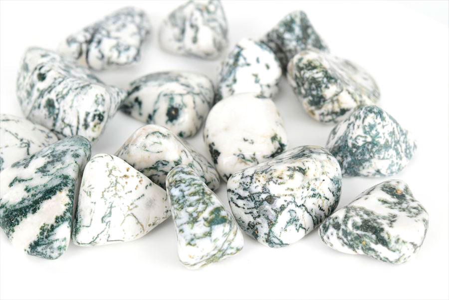 ツリーアゲート タンブル 磨き石 単品販売 インド産 天然石