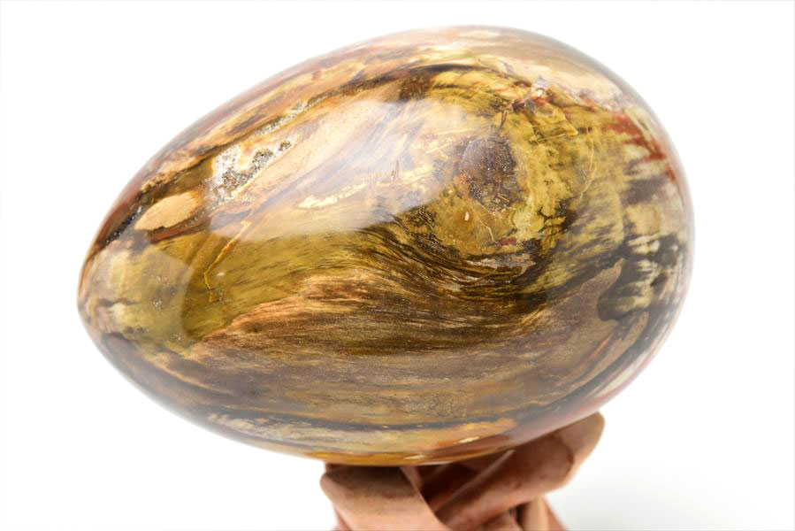 BIGサイズ ペトリファイドウッド 珪化木 卵型 (約3.02kg) 置物