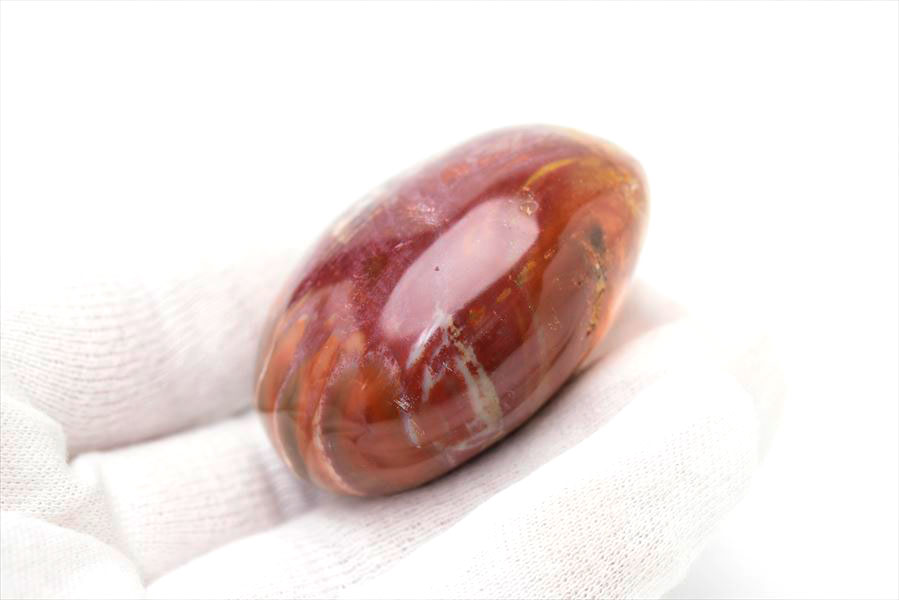 ペトリファイドウッド 珪化木 パームストーン 握り石 (約79.2g