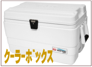 蓋にもウレタン内蔵で保冷力UP/大容量 大型クーラーボックス 48L