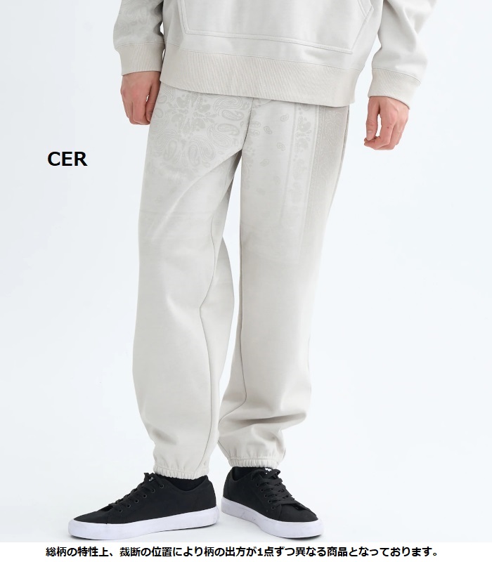 RVCA ルーカ FADE WRWB PT スウェットパンツ メンズ ジャージ 男性 ジョガーパンツ カジュアル スポーツ ルームウェア 部屋着 | RVCA | 04