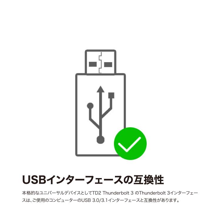 国内正規品】 TerraMaster TD2-Thunderbolt3 ストレージ 超高速 大容量