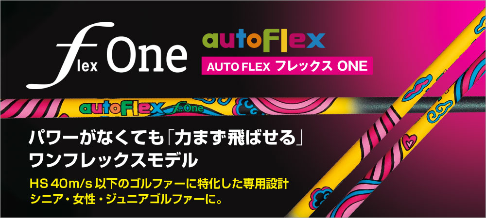 FlexONE