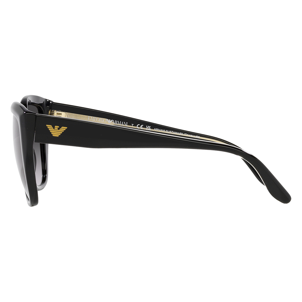 EMPORIO ARMANI エンポリオアルマーニ サングラス EA4198F