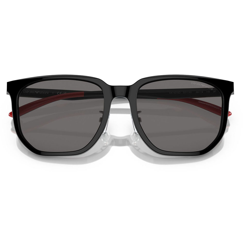 EMPORIO ARMANI エンポリオアルマーニ サングラス EA4215D 501781 56 セル スクエア メンズ アジアンデザインモデル 偏光 　 | EMPORIO ARMANI | 04