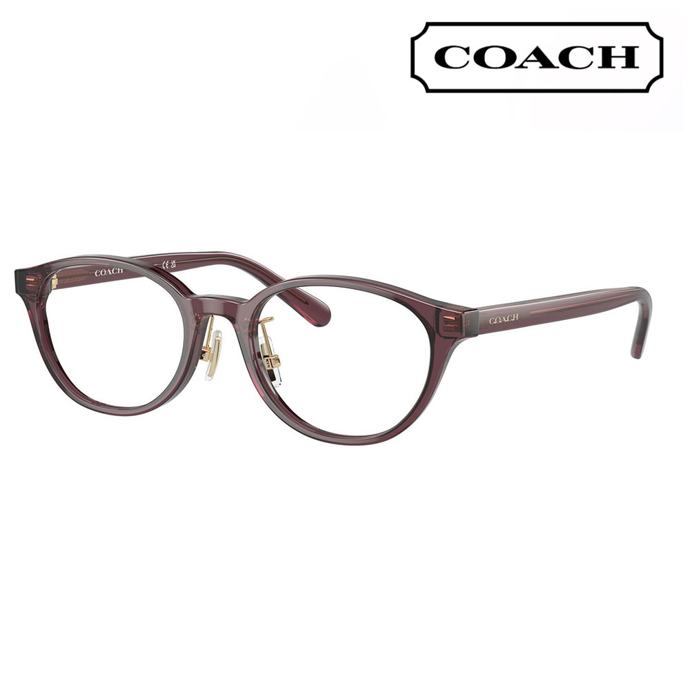 COACH（コーチ） メガネフレーム HC6152D 5677 49 ボストン