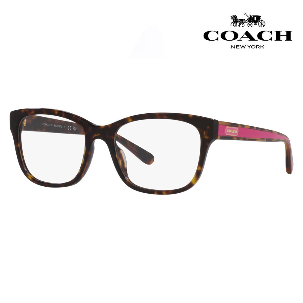 コーチ COACH メガネフレーム HC6197F 5120 55 ウエリントン セル メンズ レディース おしゃれ 伊達メガネ 眼鏡 メガネ