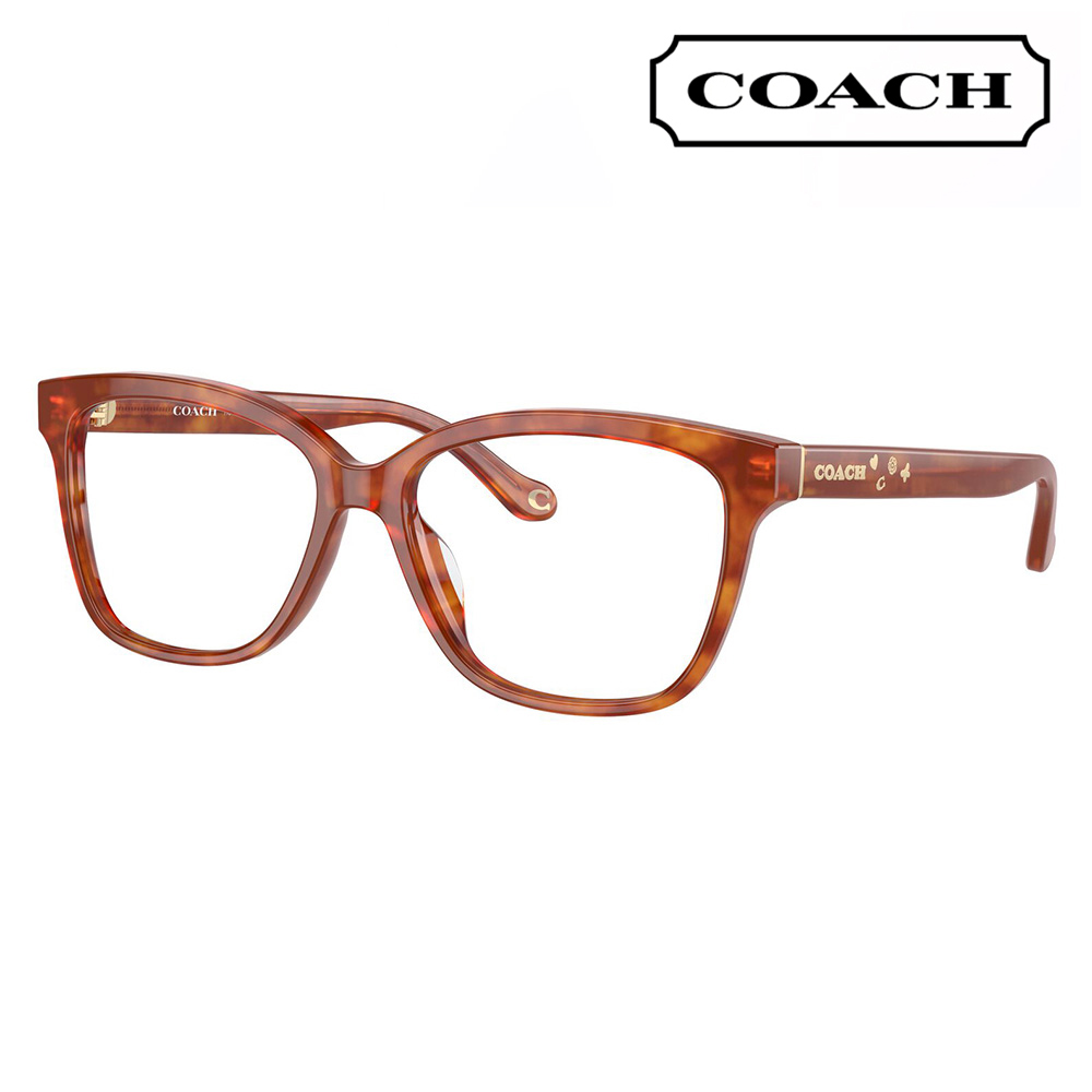 R[` COACH Klt[ HC6242F 5774 56 XNGA Z ttBbgf fB[X ɒBKl ዾ Kl