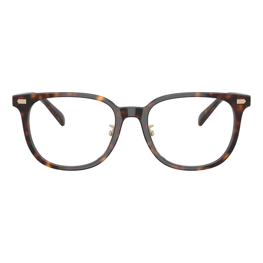 コーチ COACH メガネフレーム HC6269D 5120 53 スクエア セル アジアンフィット メンズ | COACH | 01