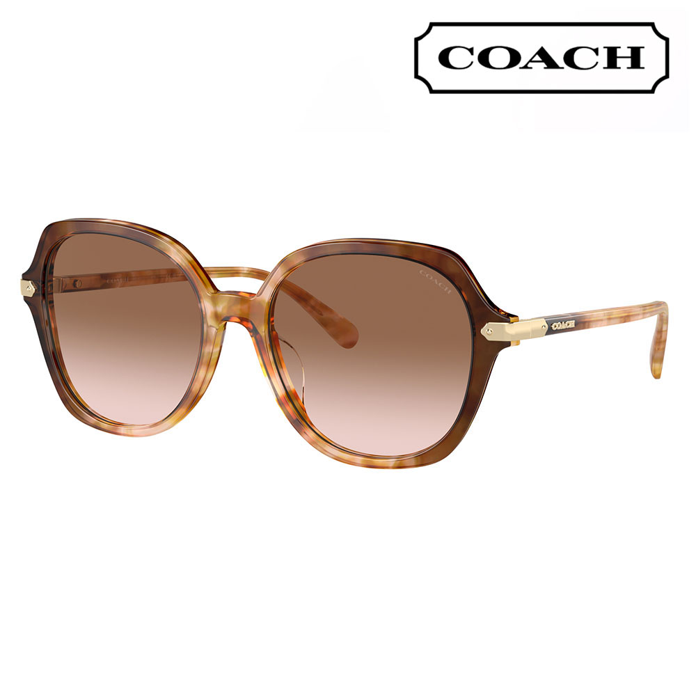 COACHサングラス」の人気商品一覧 | 安い商品を通販サイトから探す COACHサングラス」の人気商品一覧 | 安い商品を通販サイトから探す