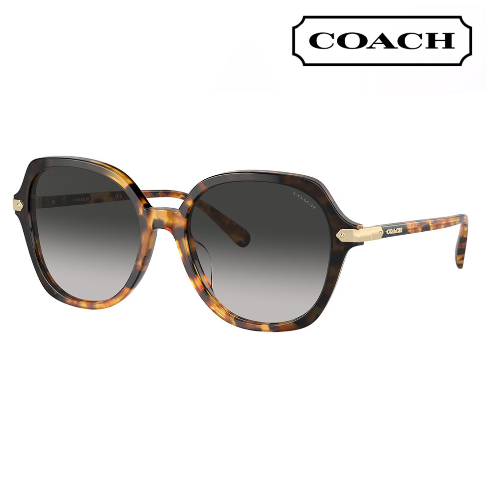 コーチ COACH サングラス HC8377U 577613 55  ラウンド セル レディース ユニバーサルフィット | COACH