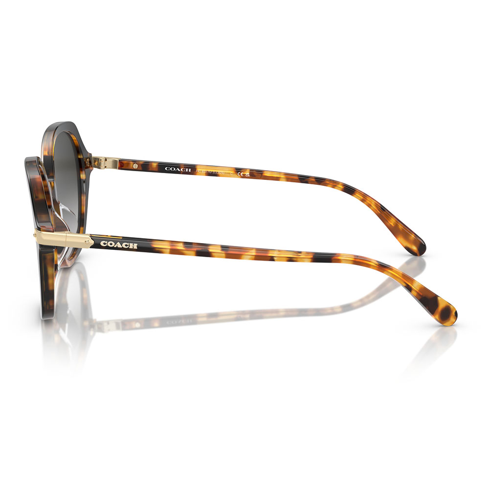 コーチ COACH サングラス HC8377U 577613 55  ラウンド セル レディース ユニバーサルフィット | COACH | 02