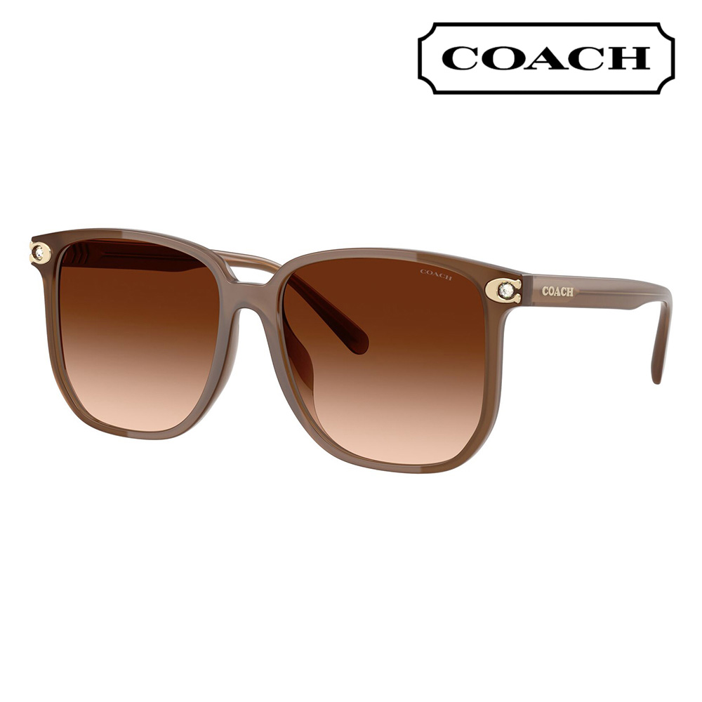 COACH コーチ サングラス　 シグネチャー　ブラウン系　付属品多数 COACH コーチ サングラス シグネチャー ブラウン系 付属品多数
