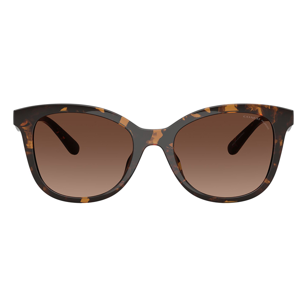 コーチ COACH サングラス HC8419U 5120T5 55 QUILTED TABBY フォックス セル ユニバーサルデザイン レディース 偏光 | COACH | 01