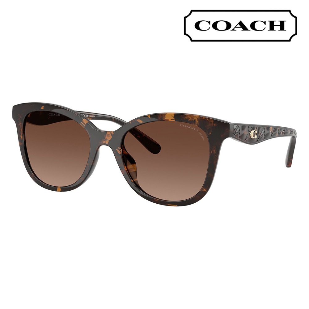 コーチ COACH サングラス HC8419U 5120T5 55 QUILTED TABBY フォックス セル ユニバーサルデザイン レディース 偏光 | COACH