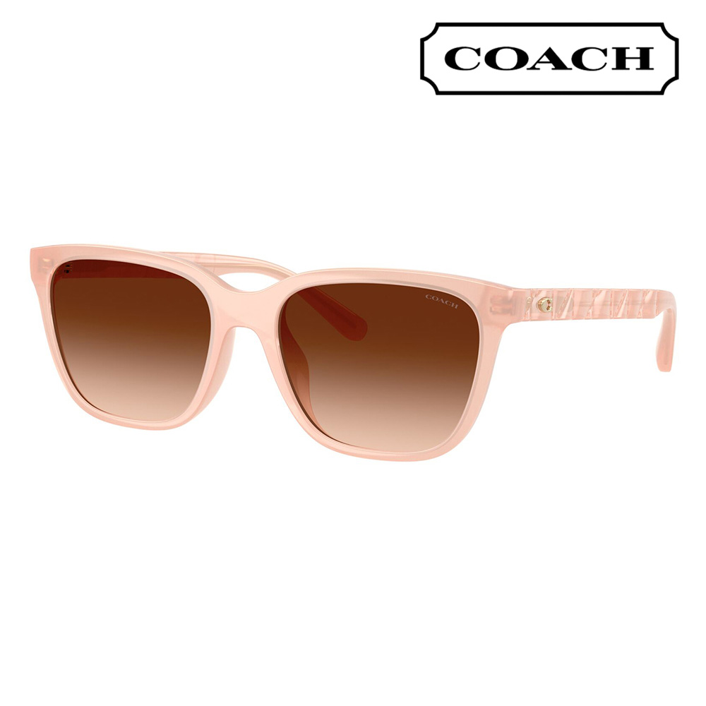【オススメ・お値下げ】coach サングラス 公式】コーチアウトレット | スクエア サングラス