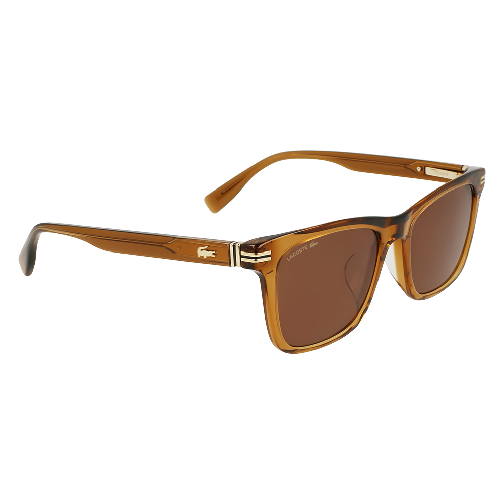 ラコステ サングラス L6050SLB 232 53 LACOSTE アセテート ウェリントン メンズ レディース | LACOSTE | 02