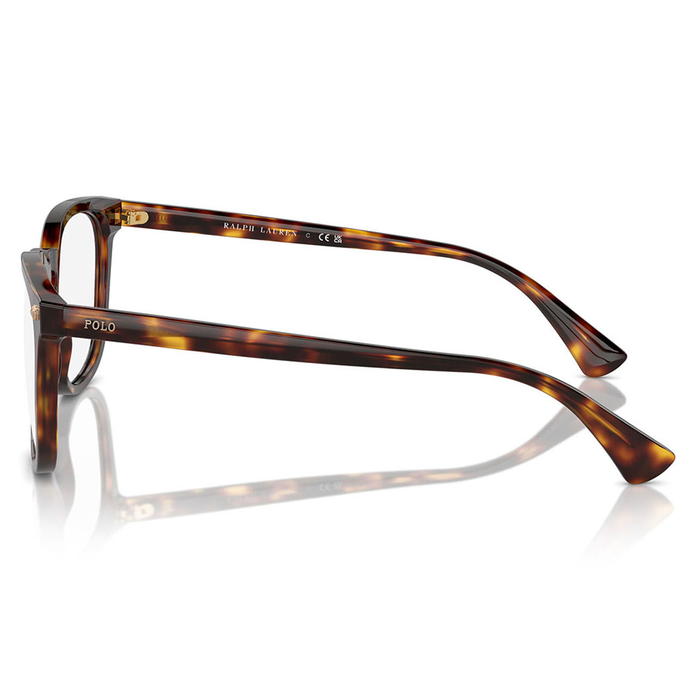 POLO RALPH LAUREN ポロラルフローレン サングラス PH4214F 613773 54 ボストン フルフィットモデル セル メンズ オーバーグラス | POLO RALPH LAUREN | 02
