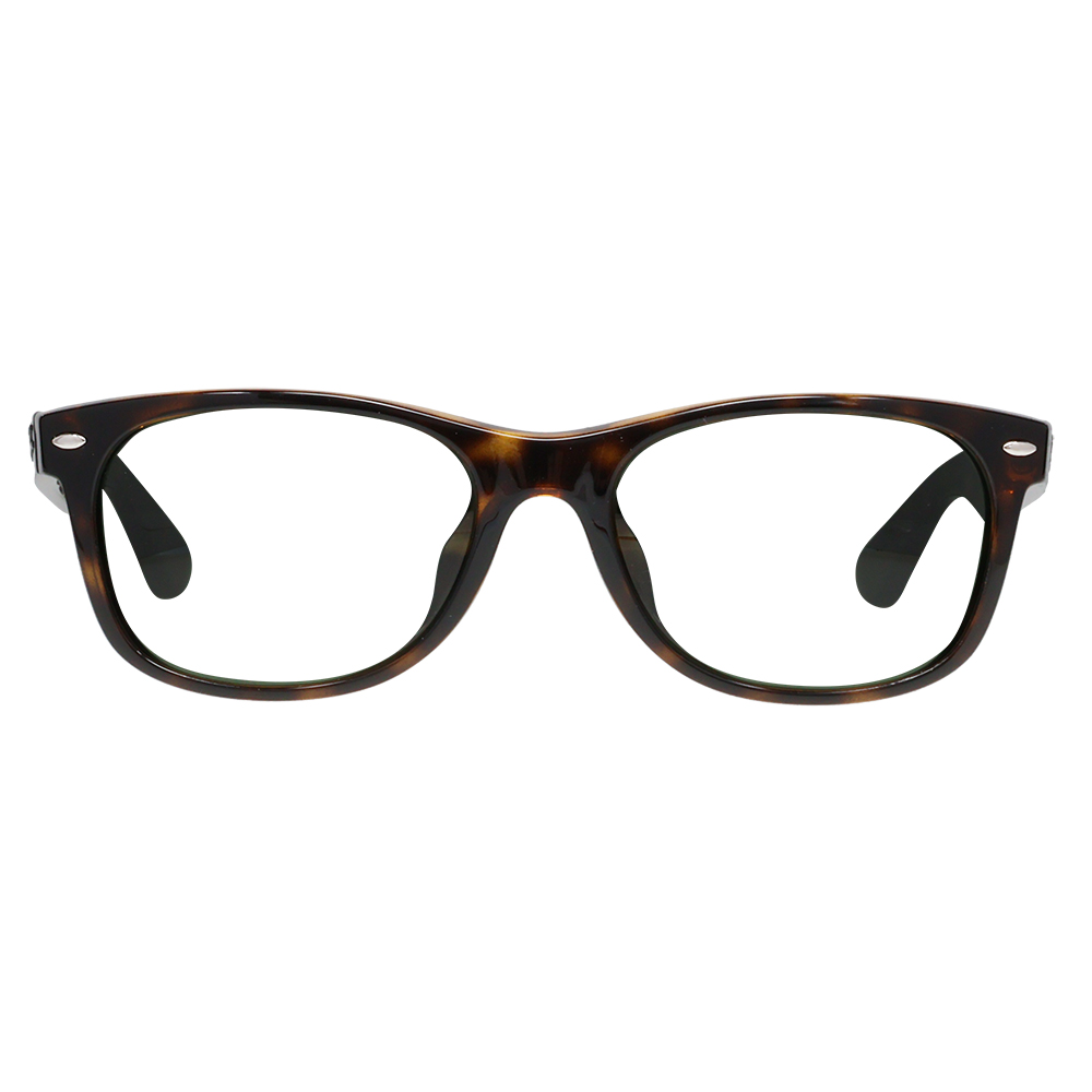 RB2132 New Wayfarer Sunglasses Tortoiseshell