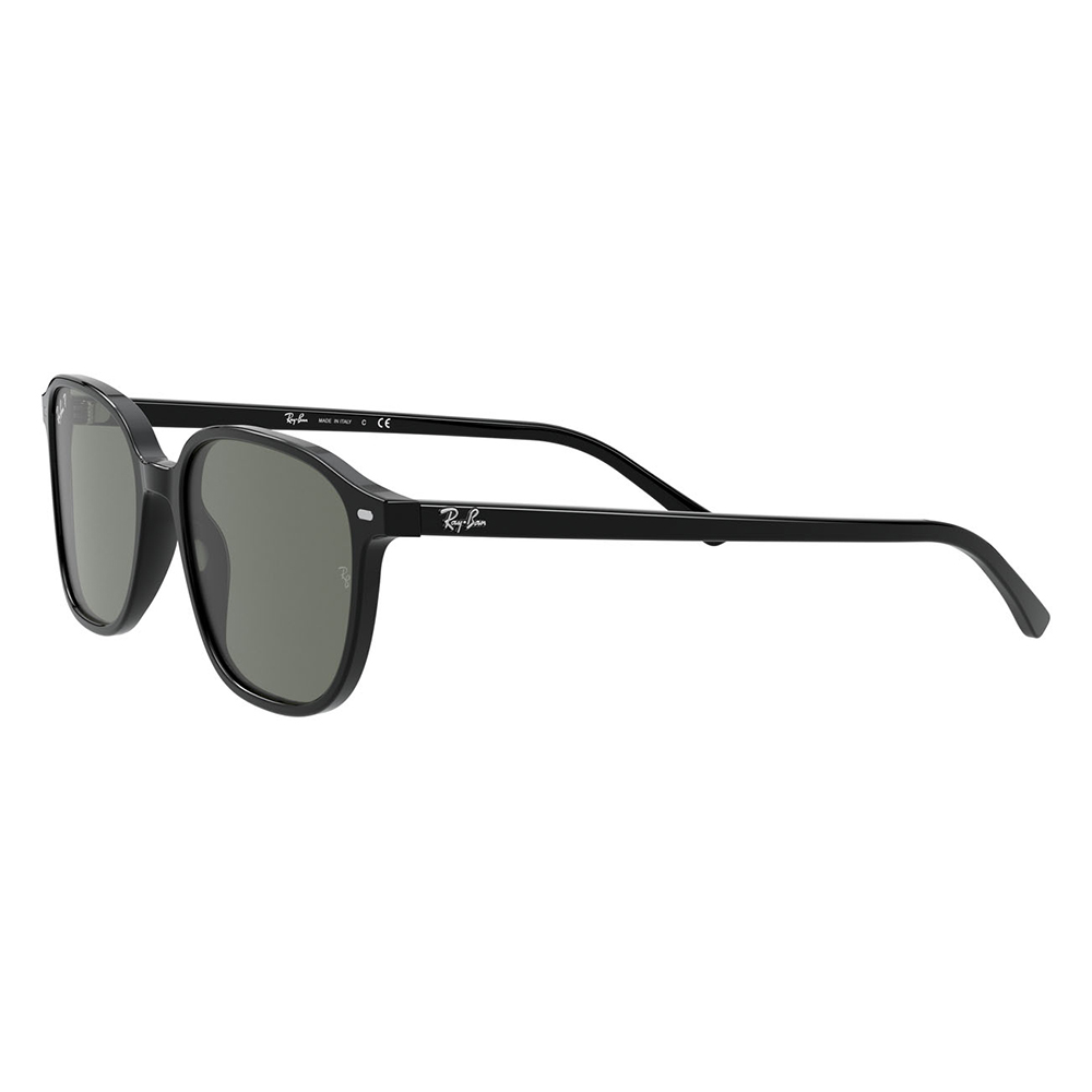 Ray-Ban（レイバン） サングラス 純正レンズ対応 RB2193F 901/58 55