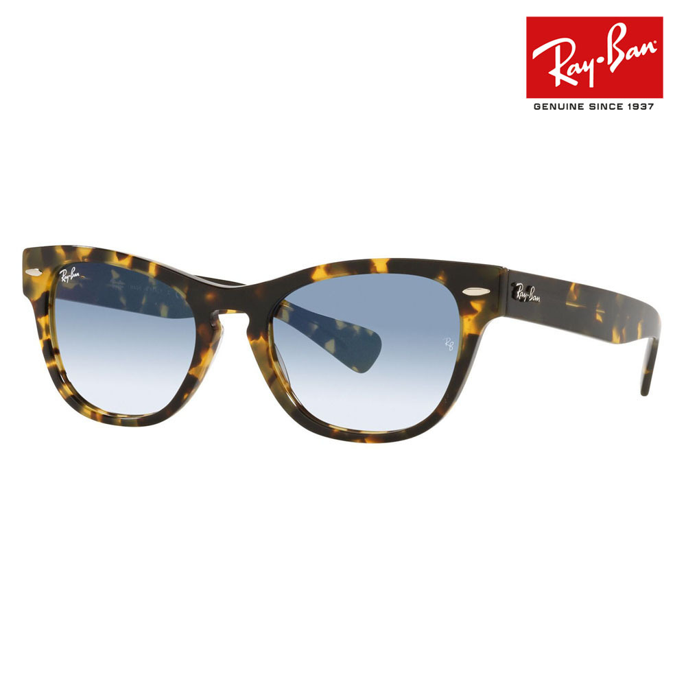 オススメ価格 レイバン サングラス RB2201 13323F 54 LARAMIE ララミー ウェリントン Ray-Ban : 10019545 :  ワッツアップ - 通販 - Yahoo!ショッピング