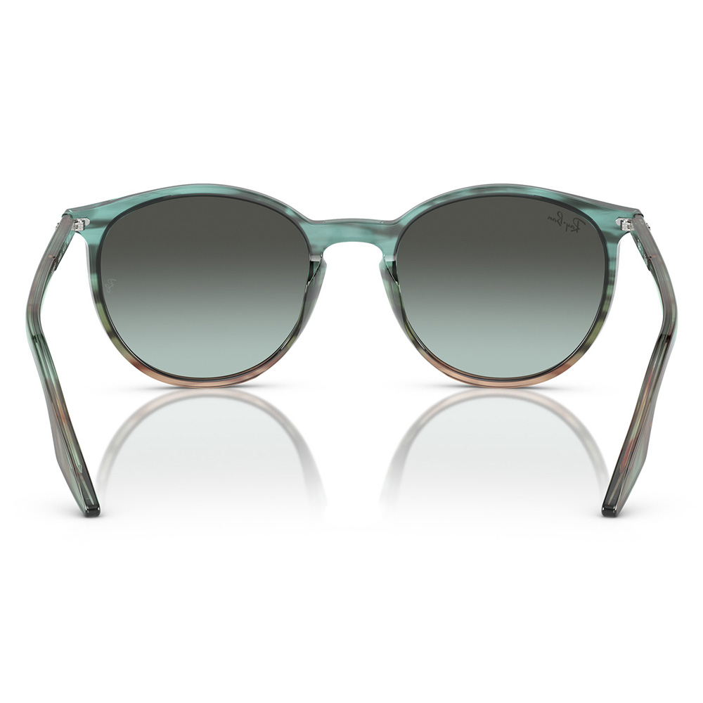 Ray-Ban（レイバン） サングラス 純正レンズ対応 RB2204F 1394GK 54 