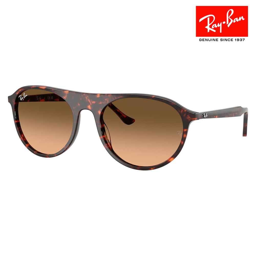 レイバン サングラス 純正レンズ対応 RB2215F 14293B 56 Ray-Ban スクエア ラウンド セル フルフィット ユニセックス